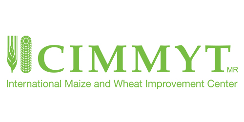CIMMYT logo