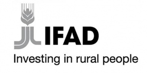 IFAD logo